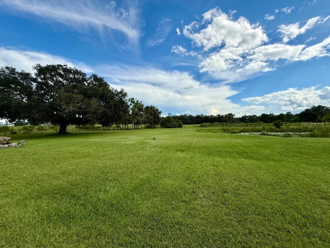Back of the property - 32632 TYNDALL RD, WESLEY CHAPEL