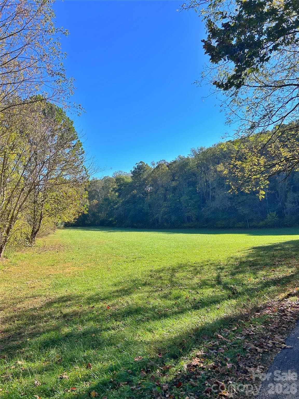 Ryan Park Common area field for your pleasure - 100 S Lindon Cove Road, Candler