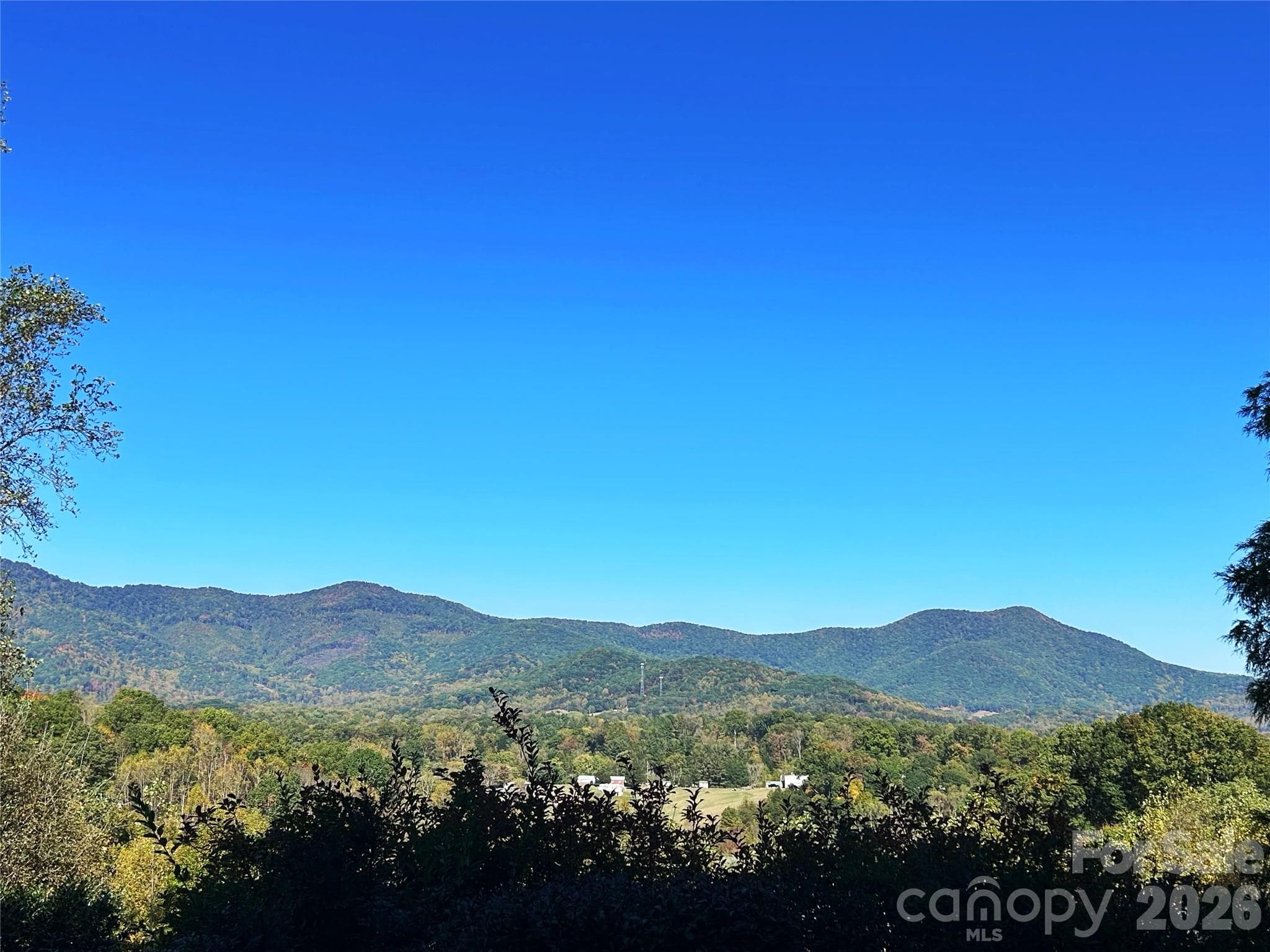 View from the Neighborhood - 100 S Lindon Cove Road, Candler