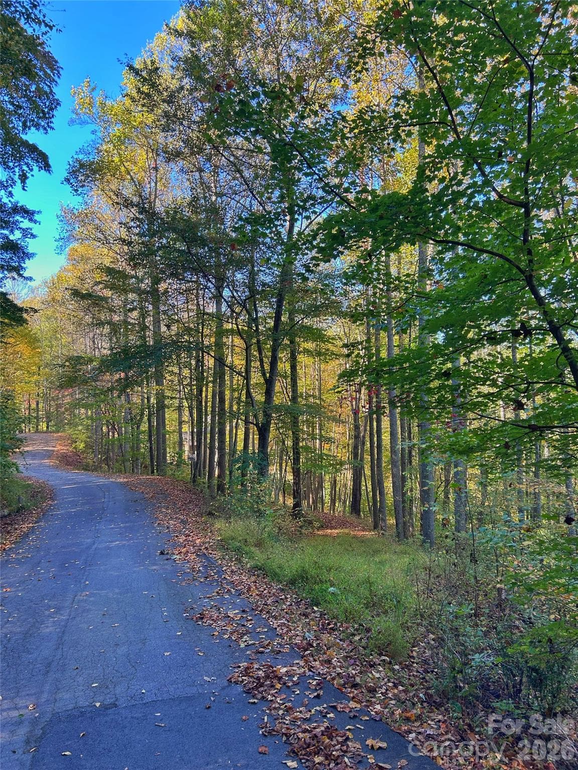Road to property on right - 100 S Lindon Cove Road, Candler