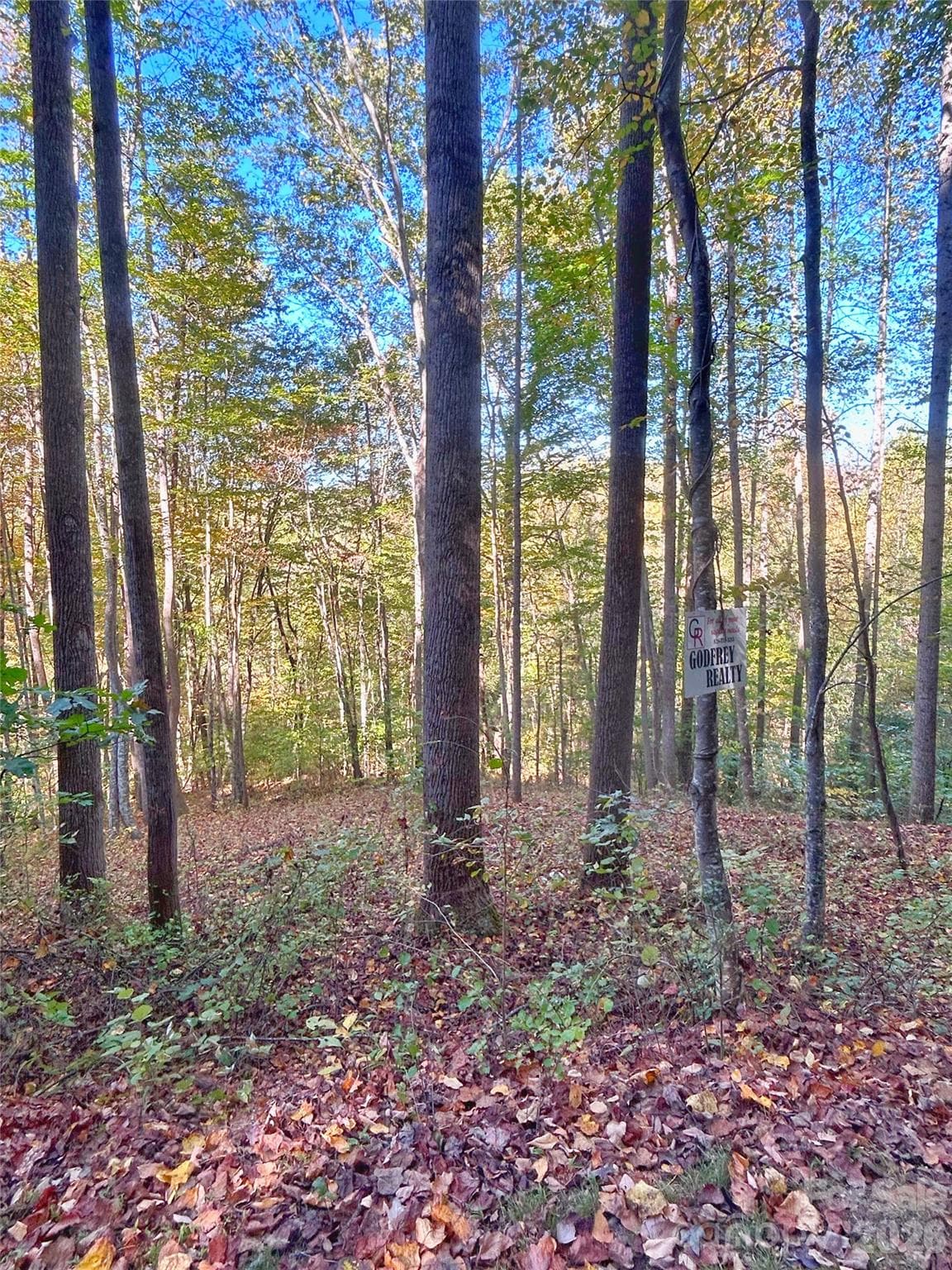 House site location from road - 100 S Lindon Cove Road, Candler