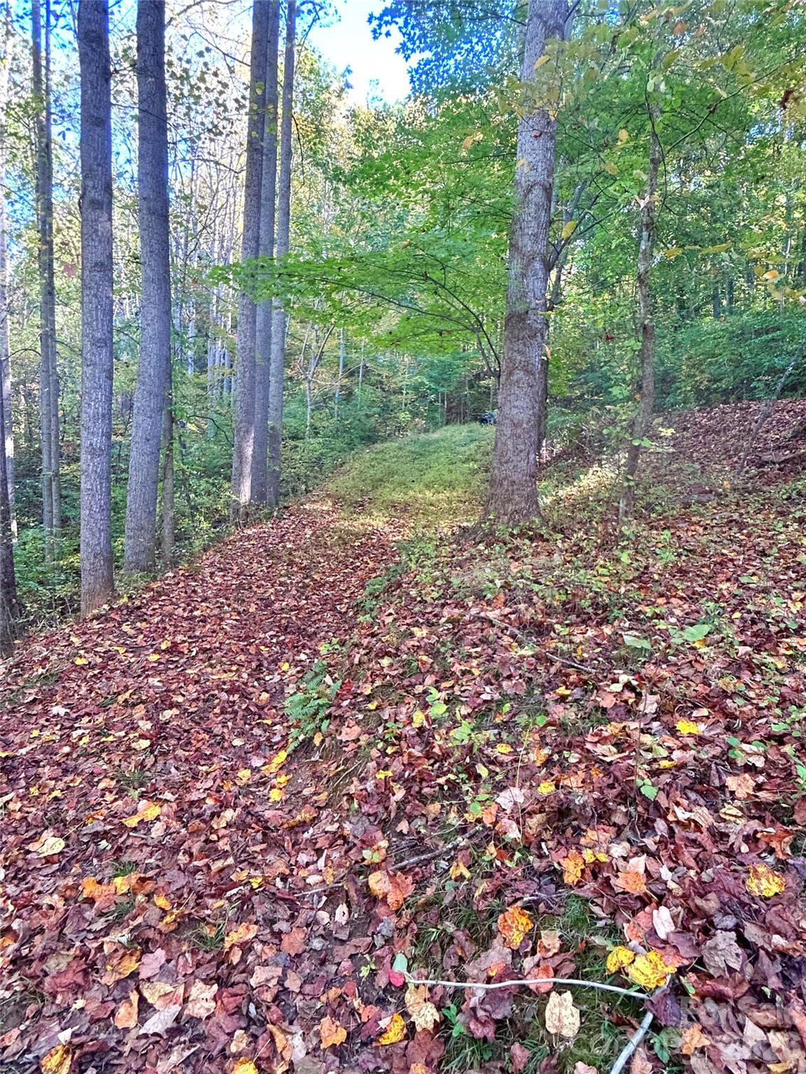 Easy driveway out to road - 100 S Lindon Cove Road, Candler