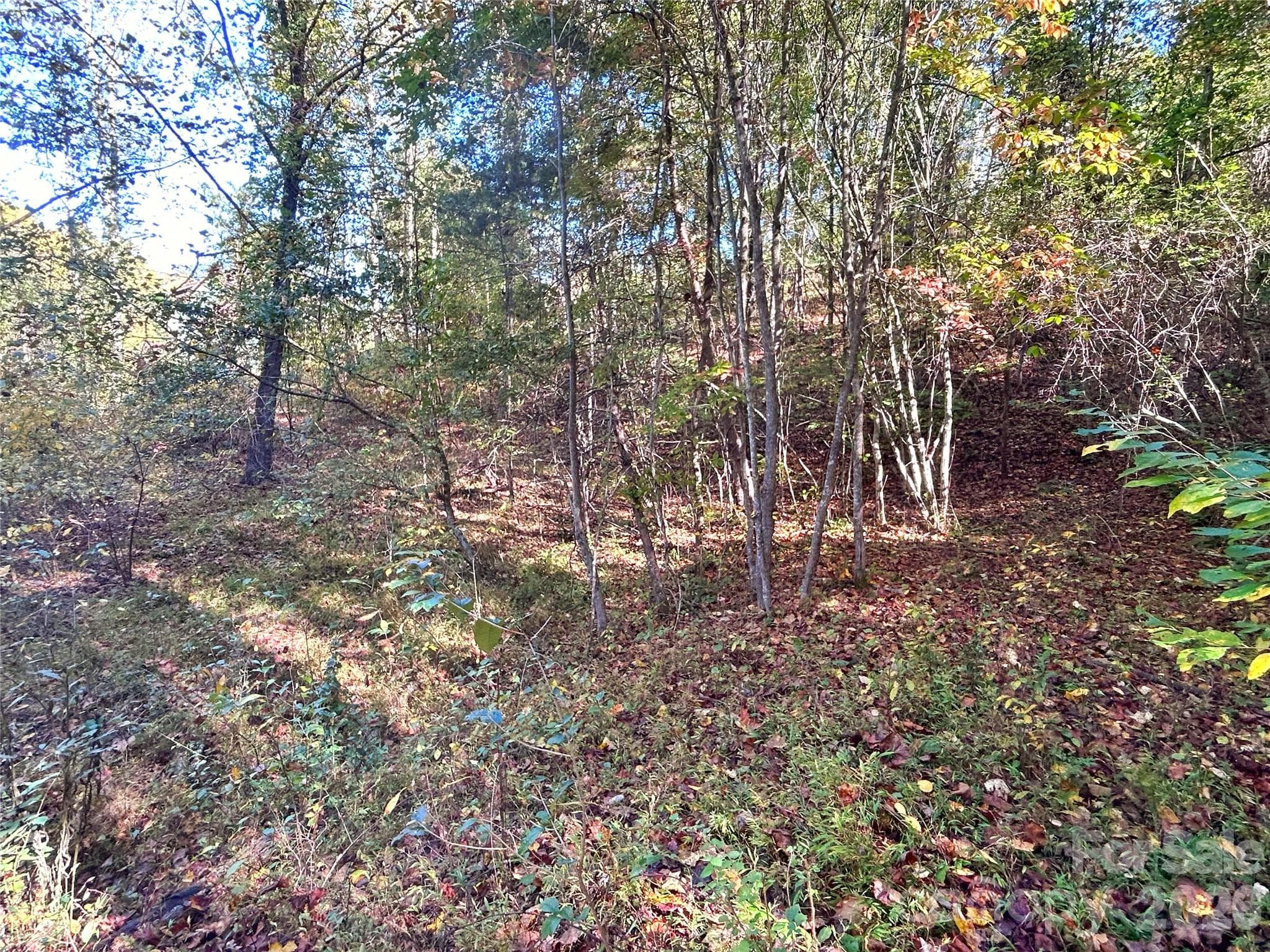 A large flat area with little grade for a great entertaining area with creek below - 100 S Lindon Cove Road, Candler