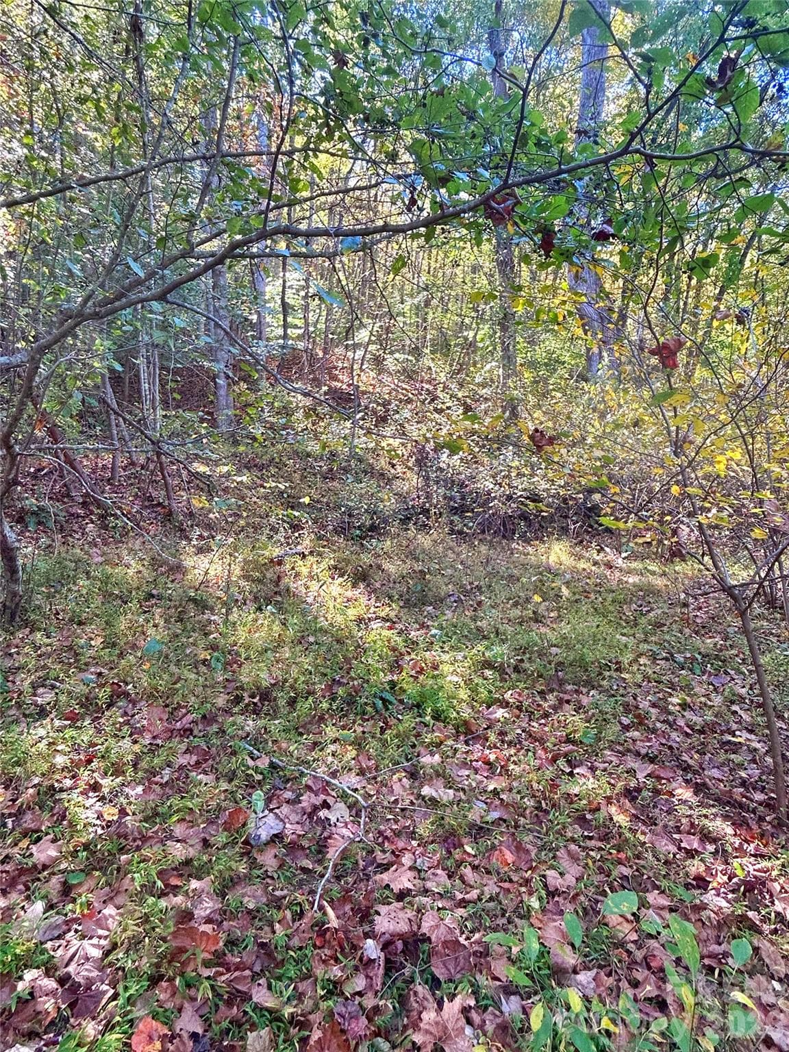 Firepit location or playground with creek below - 100 S Lindon Cove Road, Candler