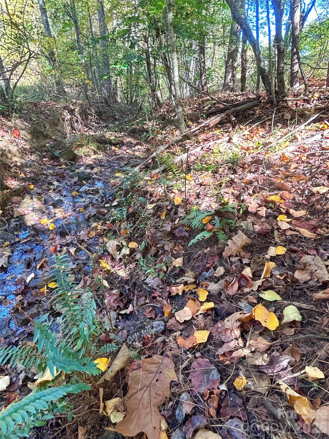 Creek - 100 S Lindon Cove Road, Candler