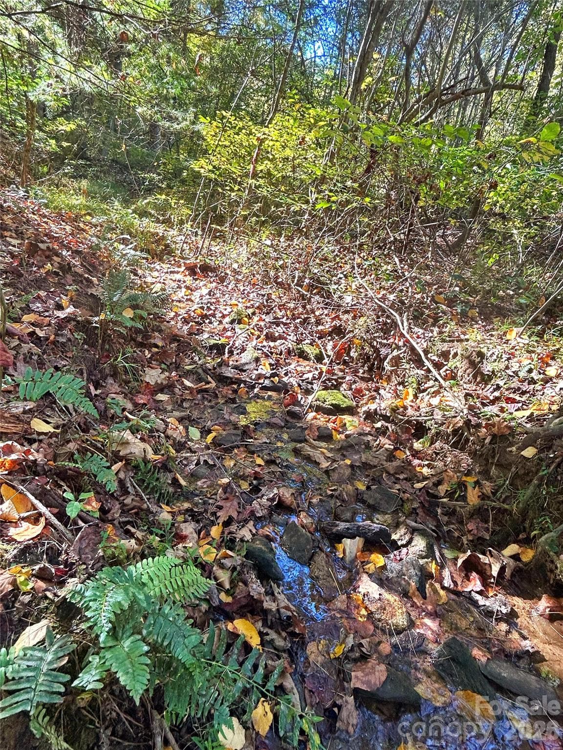 Creek - 100 S Lindon Cove Road, Candler