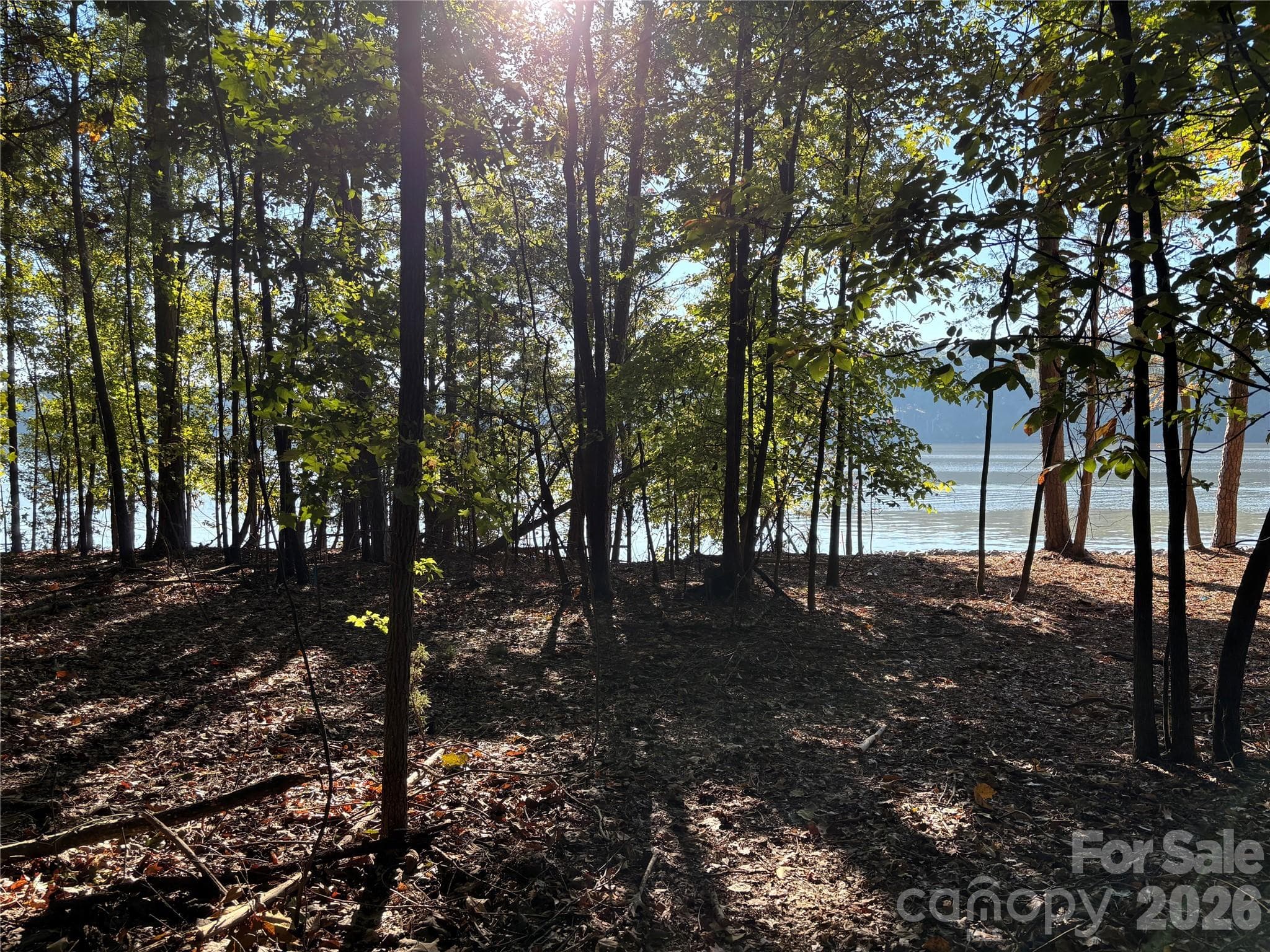 Lot at 1222 Great Egret Drive, Clover, photo 5 of 12