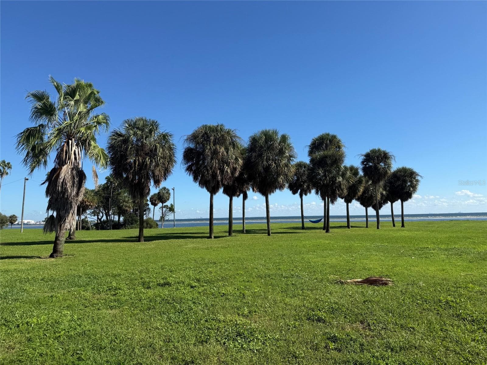 Beautiful spot to watch sunrise - 2534 BAYSIDE DR S, ST PETERSBURG