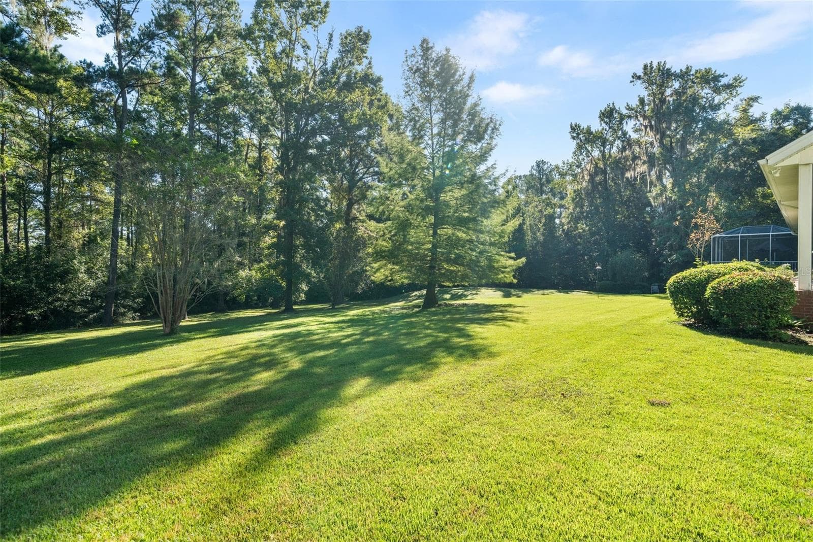 back yard - 9691 NW 53RD DR, GAINESVILLE
