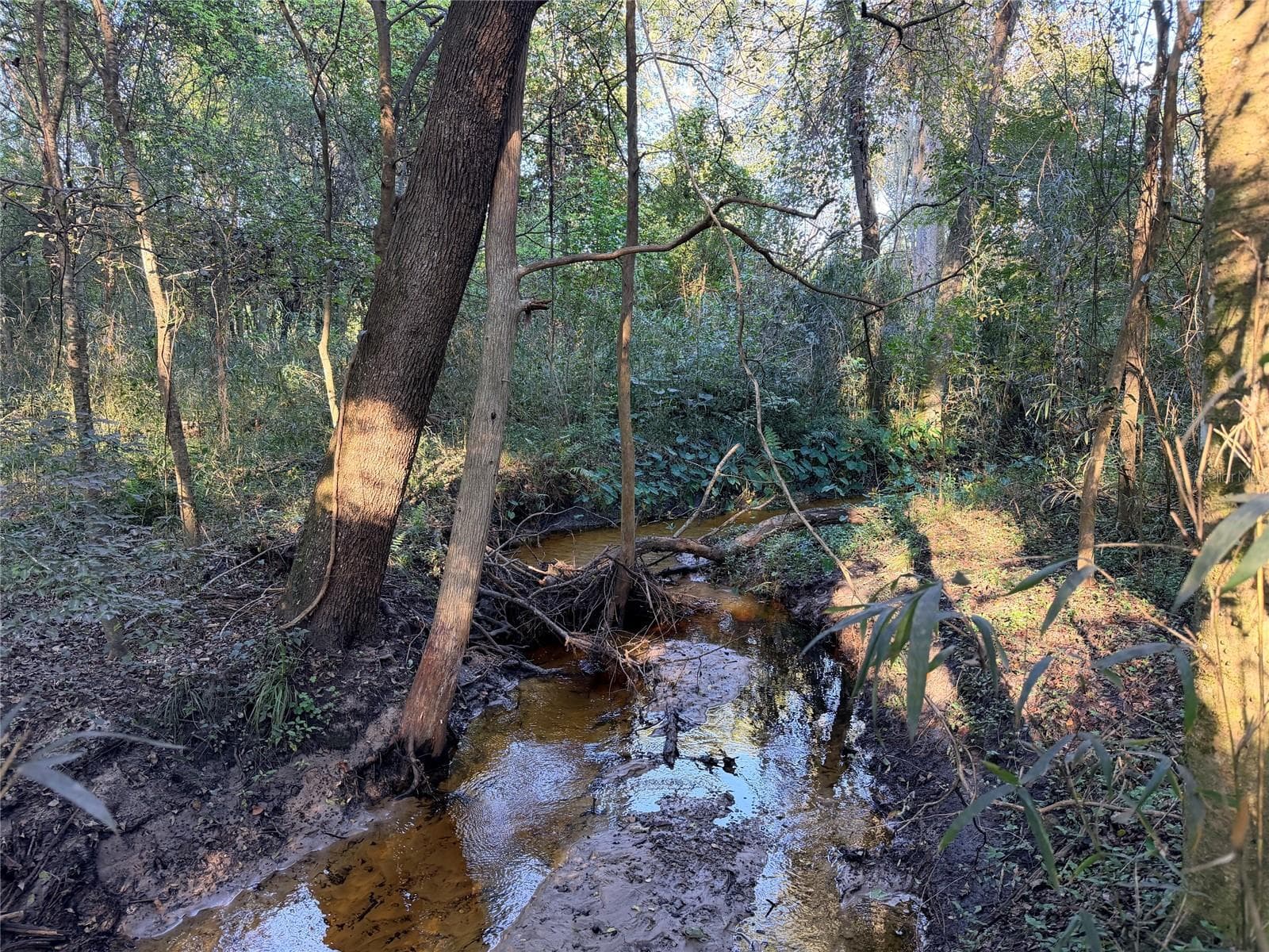Turkey creek flows through back of property - 9691 NW 53RD DR, GAINESVILLE