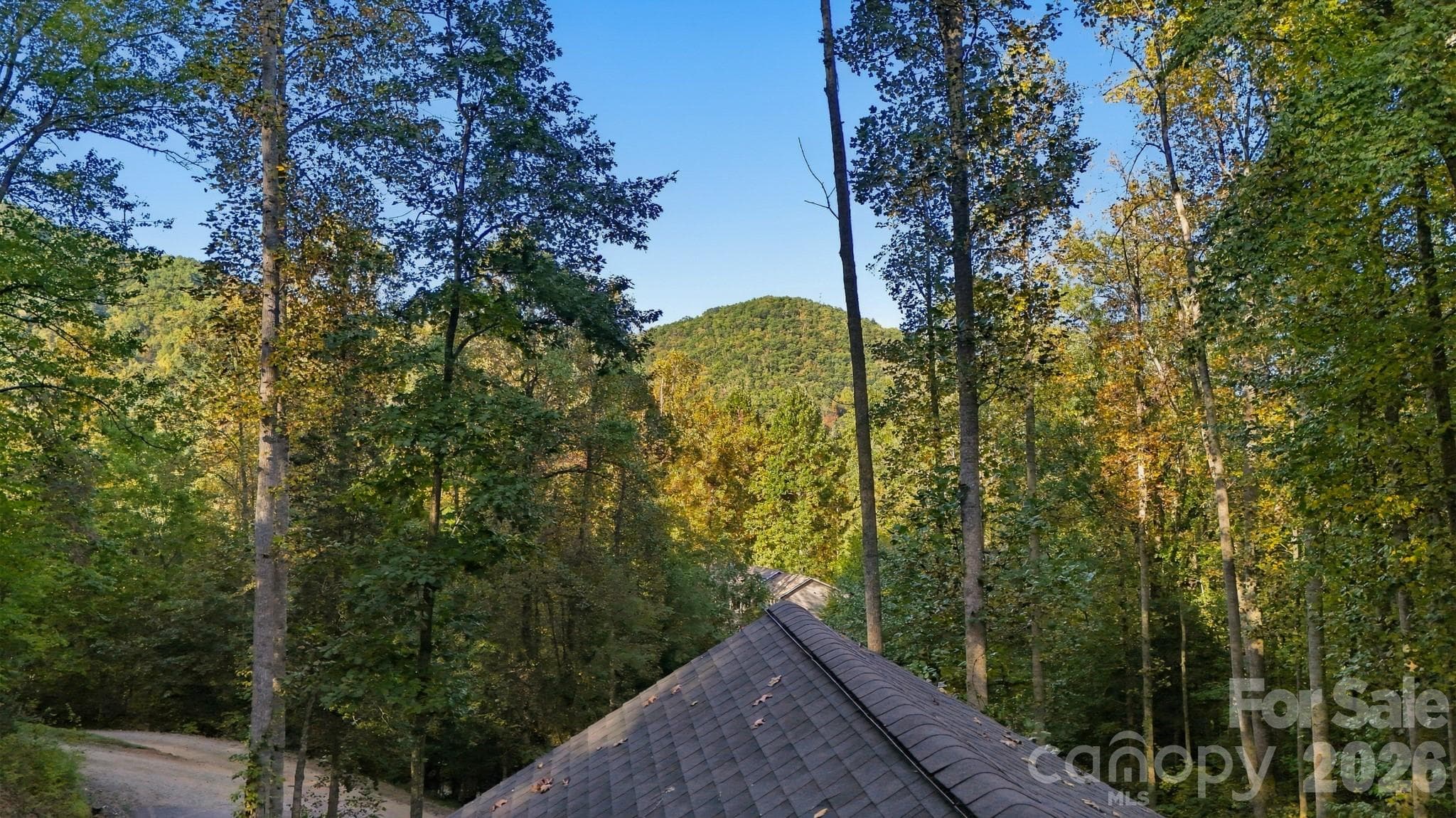Single Family Residence at 201 Woodhaven Estates, Sylva, photo 35 of 38