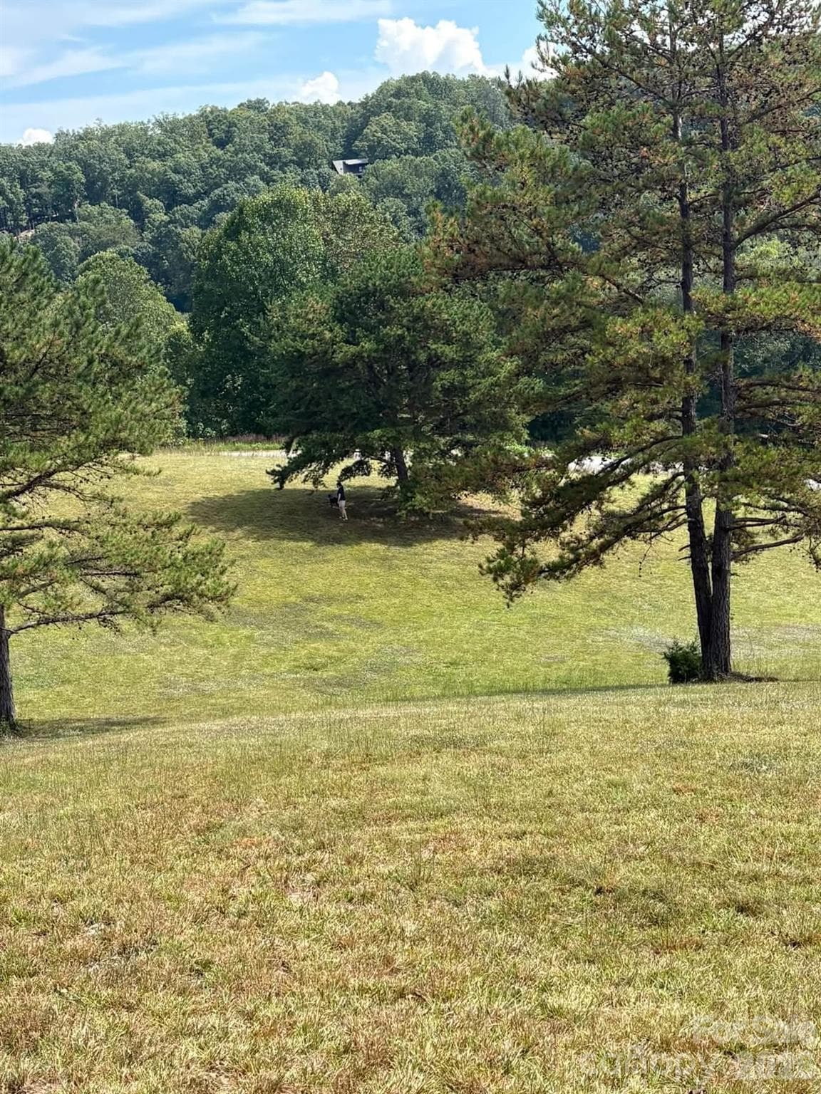 Lot at 91 Meadows Station Drive, Nebo, photo 6 of 16