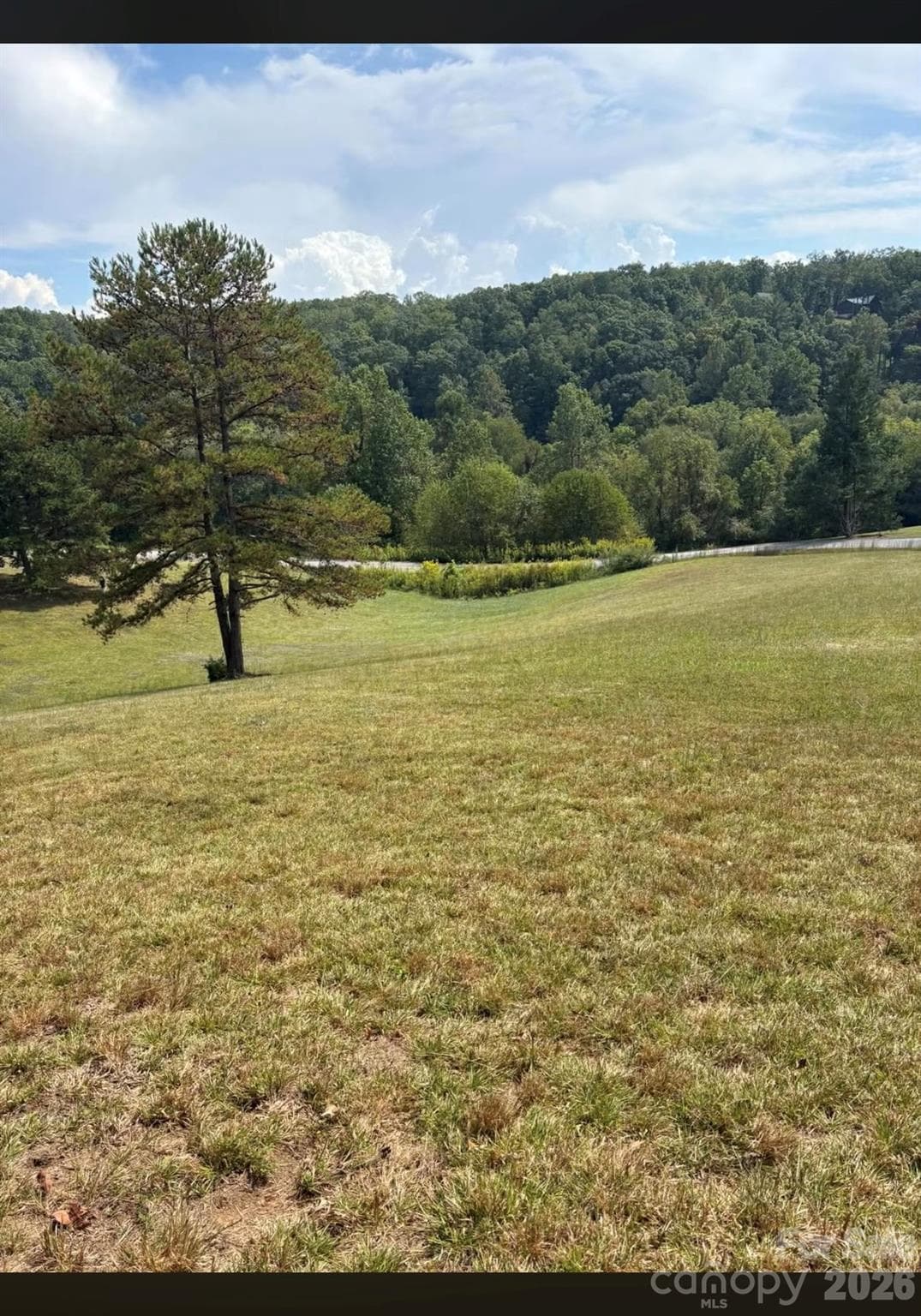 Lot at 91 Meadows Station Drive, Nebo, photo 9 of 16