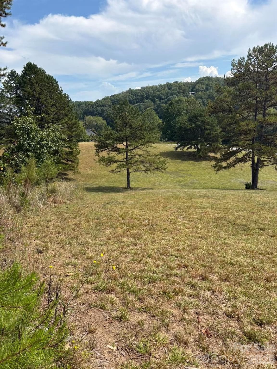 Lot at 91 Meadows Station Drive, Nebo, photo 12 of 16