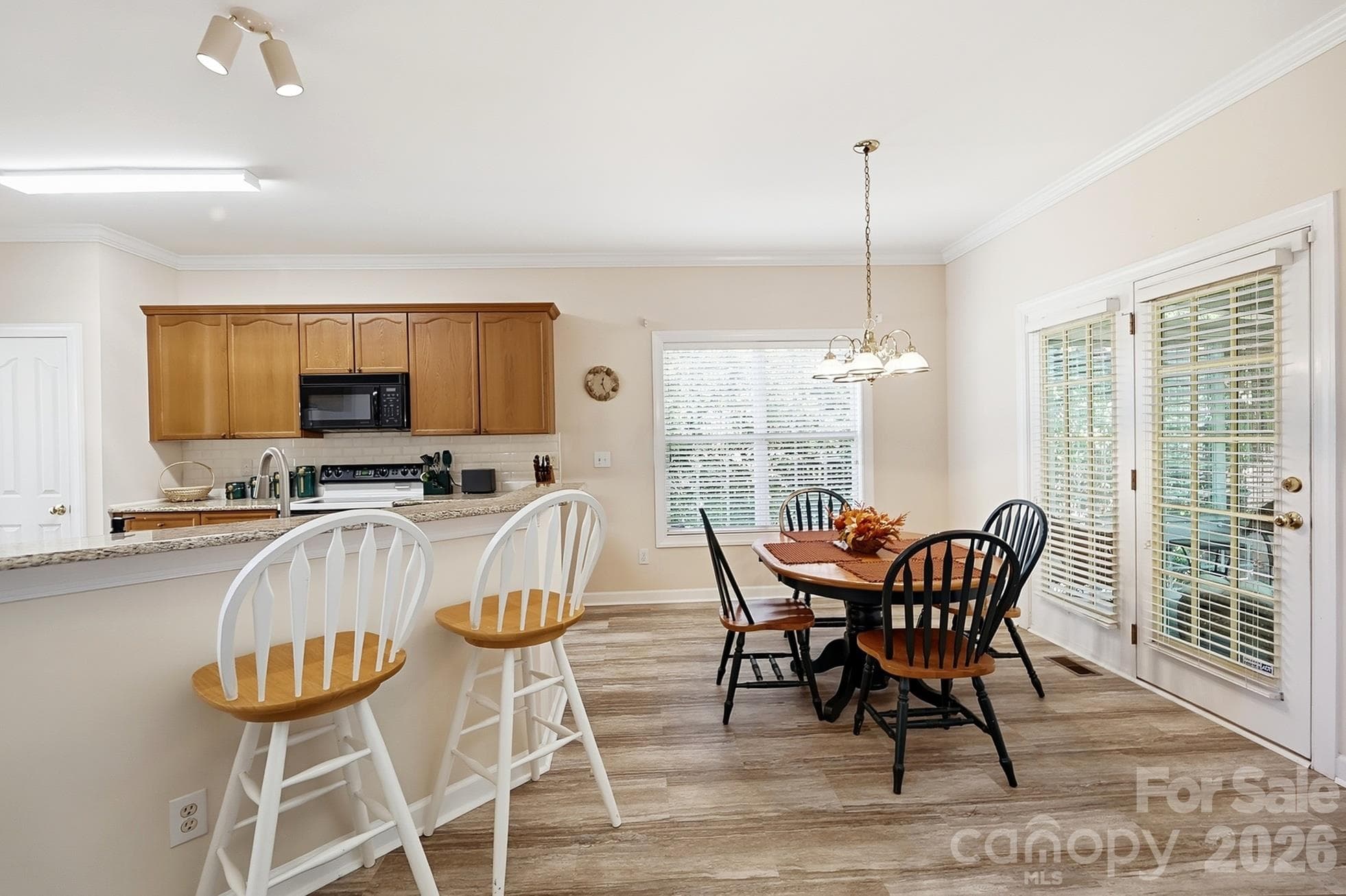 Single Family Residence at 11438 McGinns Trace Court, Charlotte, photo 10 of 43