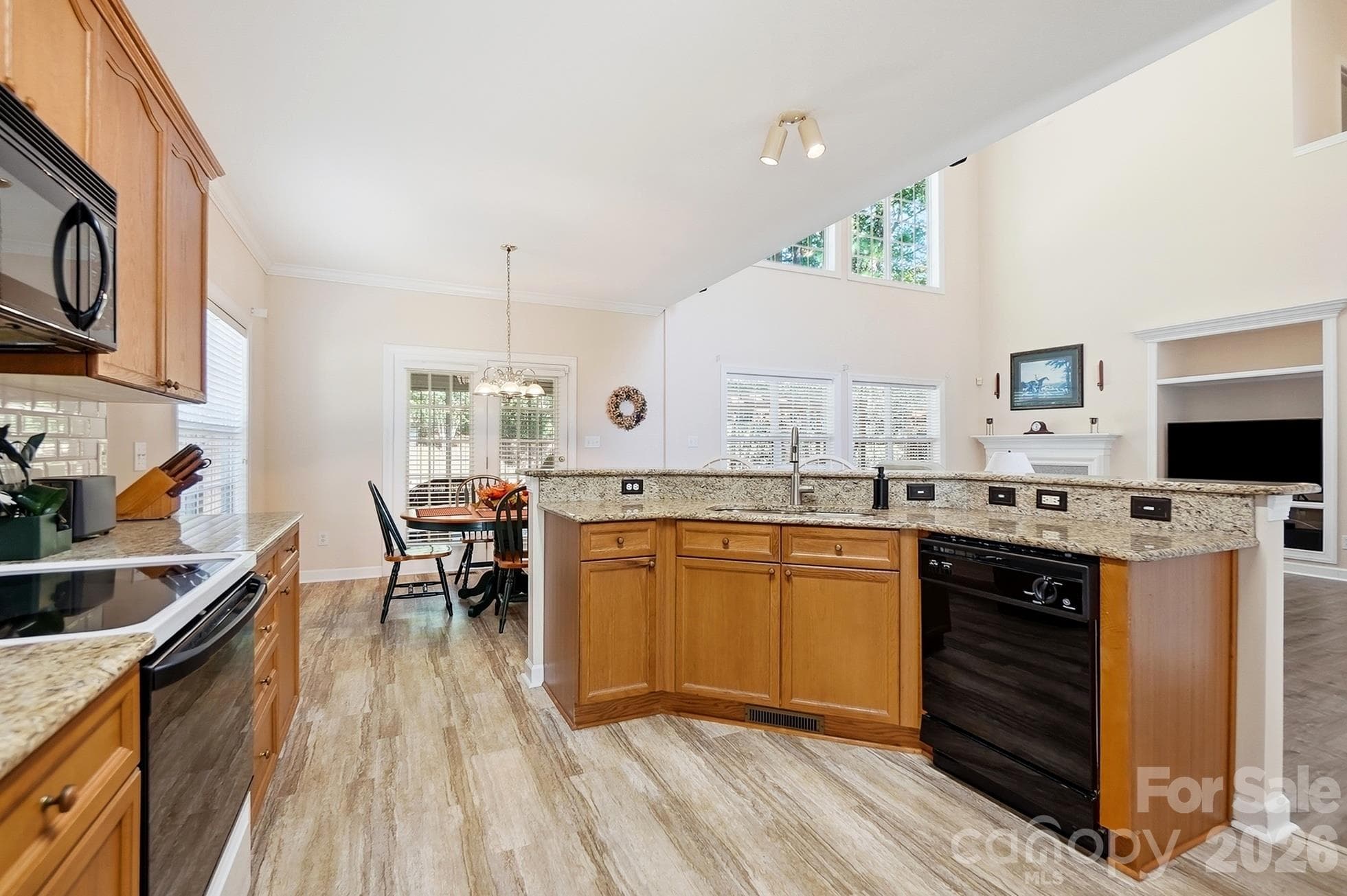 Single Family Residence at 11438 McGinns Trace Court, Charlotte, photo 11 of 43
