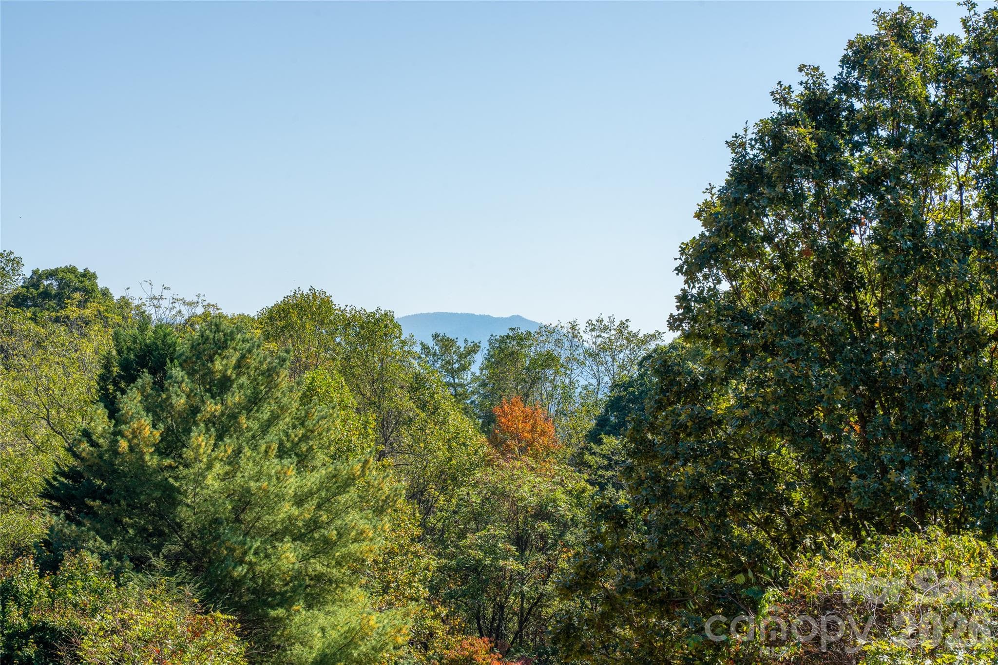Beautiful mountain views! - 117 Spivey Mountain Road, Asheville