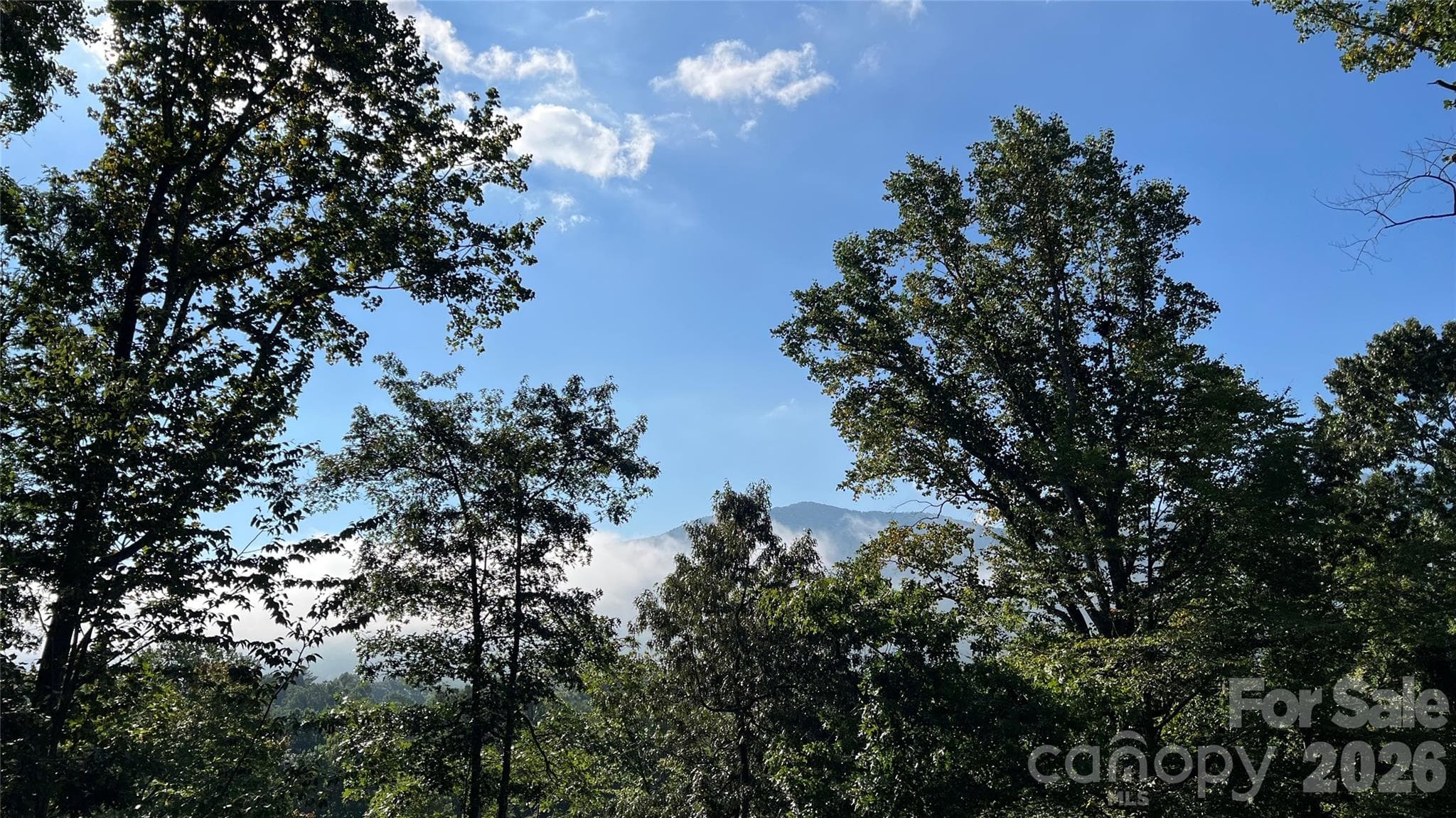 View from living room & deck - 126 Pine Hill Drive, Swannanoa