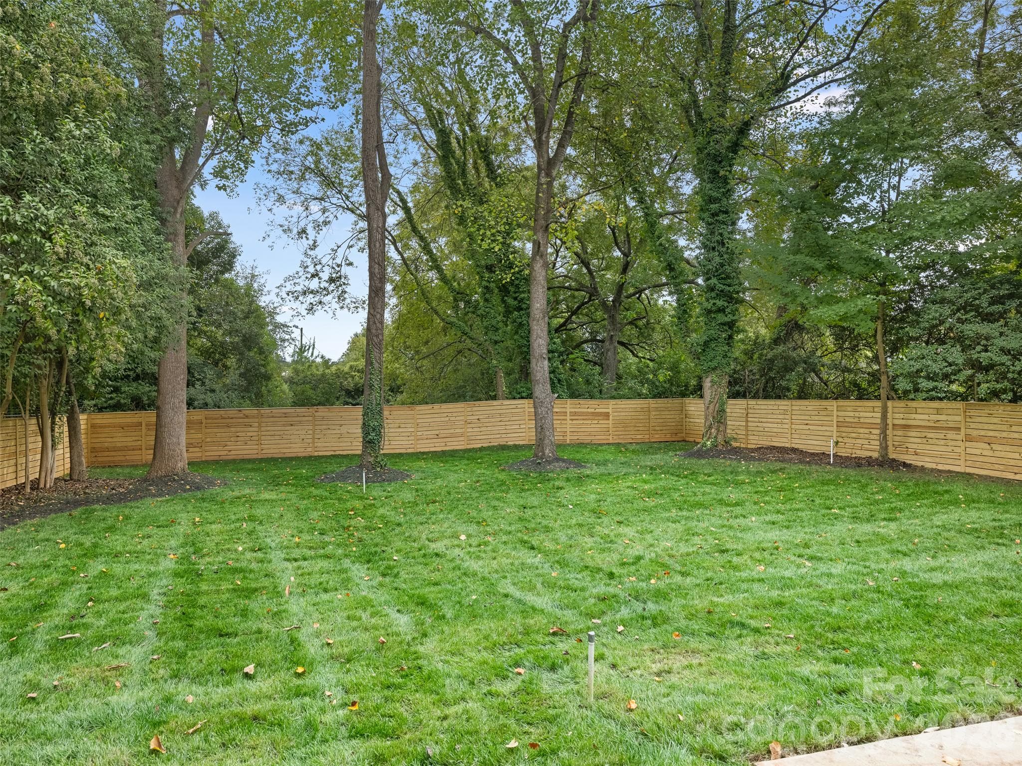 Back Yard - 1314 Richland Drive, Charlotte