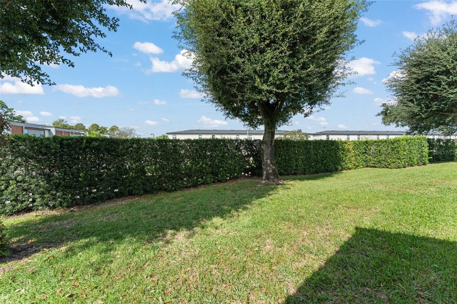 Backyard - 3170 TAMARIND CIR, KISSIMMEE