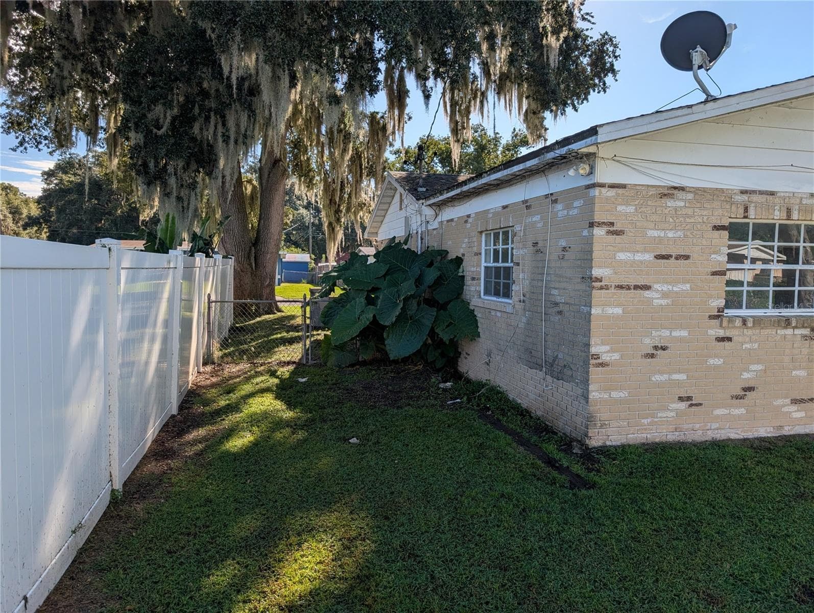 Backyard - 2835 DIXIE RD, LAKELAND