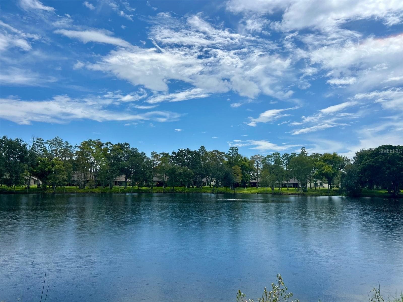 Lake View In Backyard - 2529 OAKLEAF LN #30C, CLEARWATER