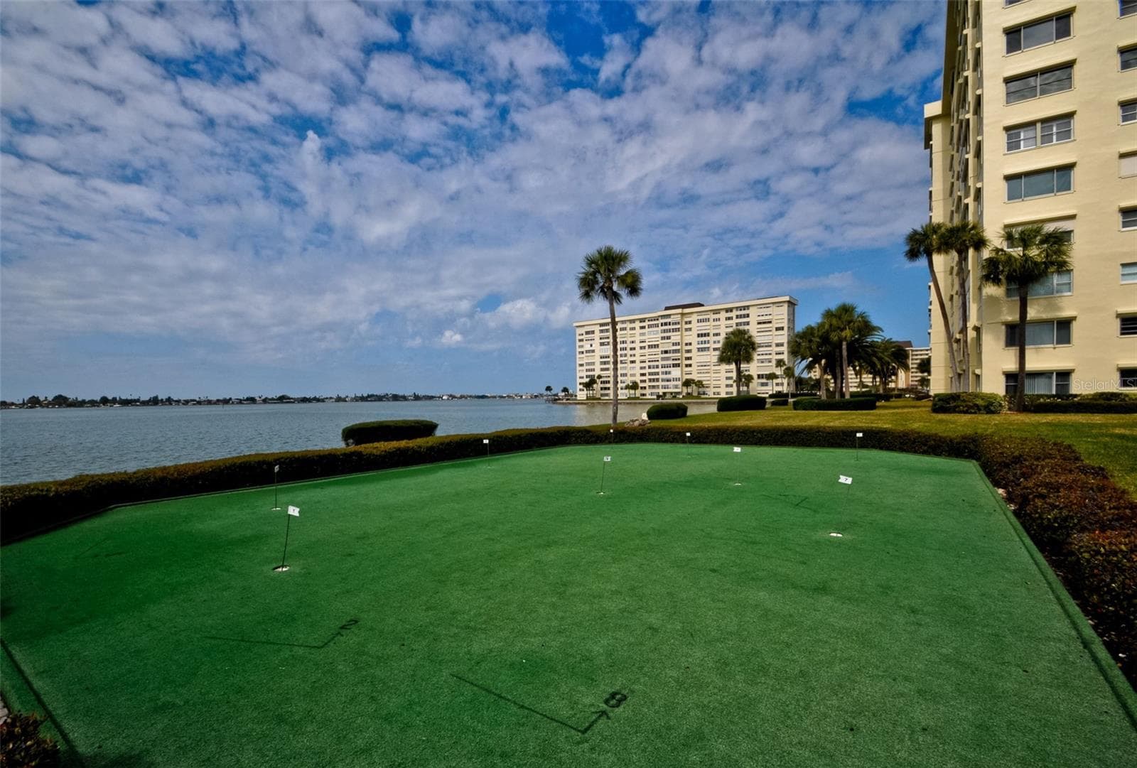 Putting green - 4775 COVE CIR #904, ST PETERSBURG