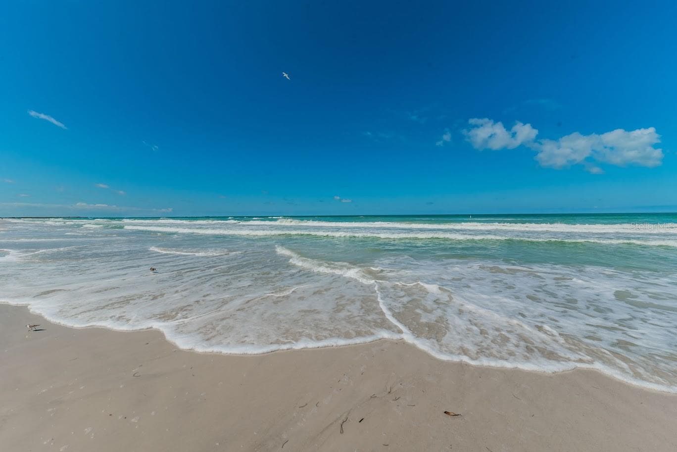 Condominium at 3575 GULF BLVD #204, ST PETE BEACH, photo 38 of 38