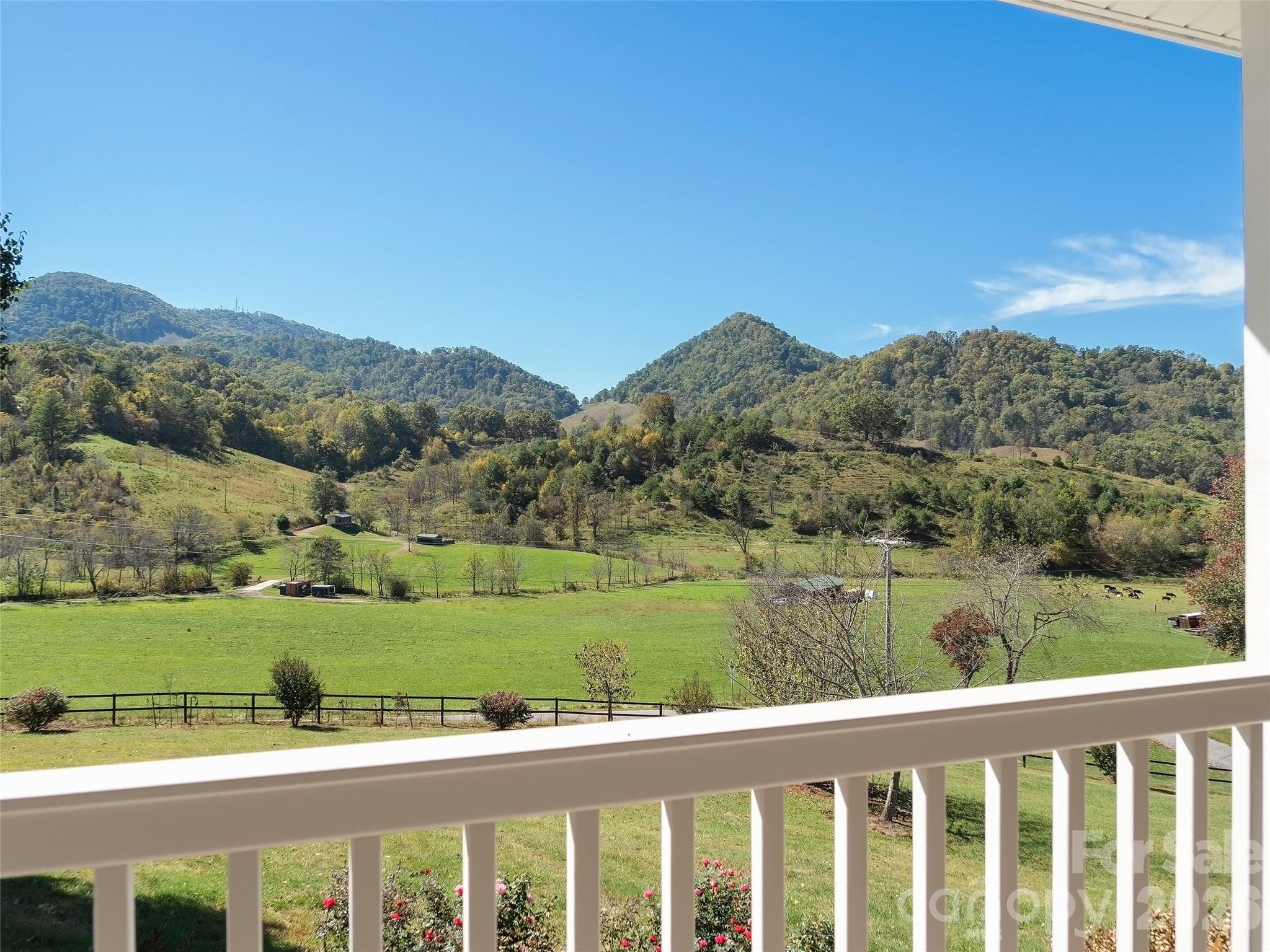 View of lush pasture across the road from the front porch. - 43 Eagle Ridge, Clyde