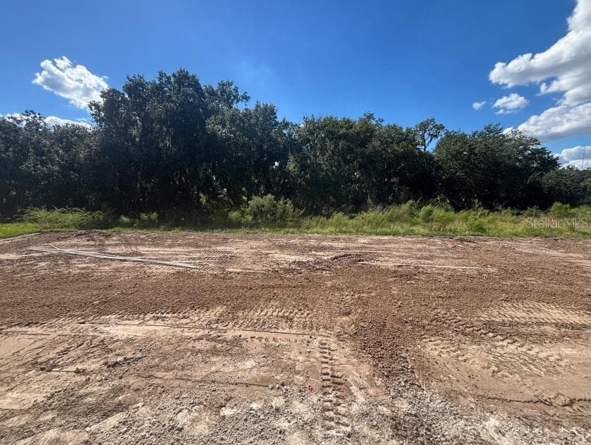 Single Family Residence at 15082 RIDER PASS DR, LITHIA, photo 13 of 13