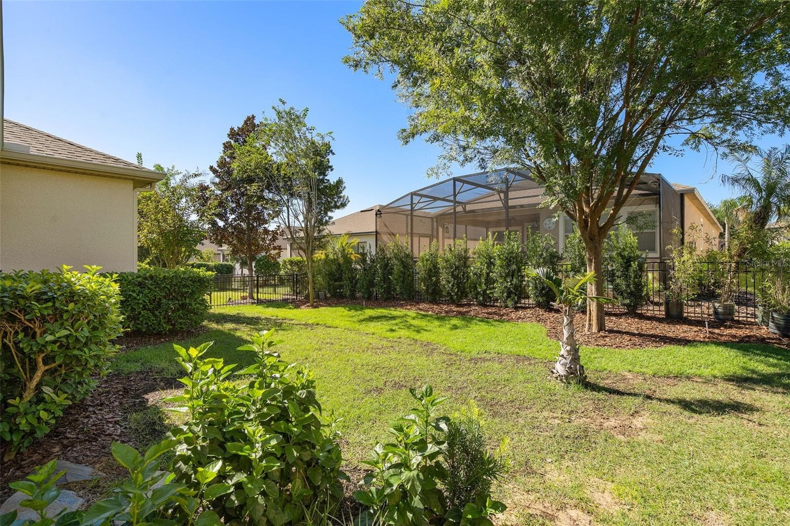 Rear Fully Fenced Yard with a Podocarpus Hedge - 1038 TIMBERVALE TRL, CLERMONT