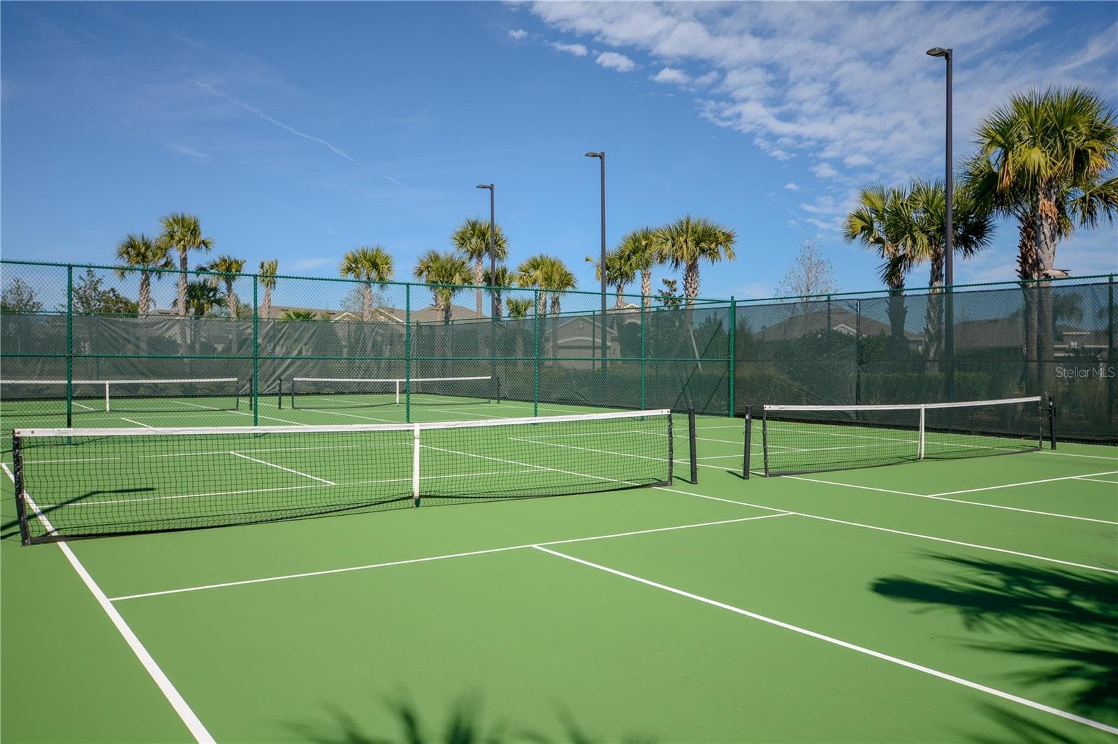 4 Pickle Ball Courts for your playing enjoyment. The Courts are lighted for nighttime play. - 1038 TIMBERVALE TRL, CLERMONT