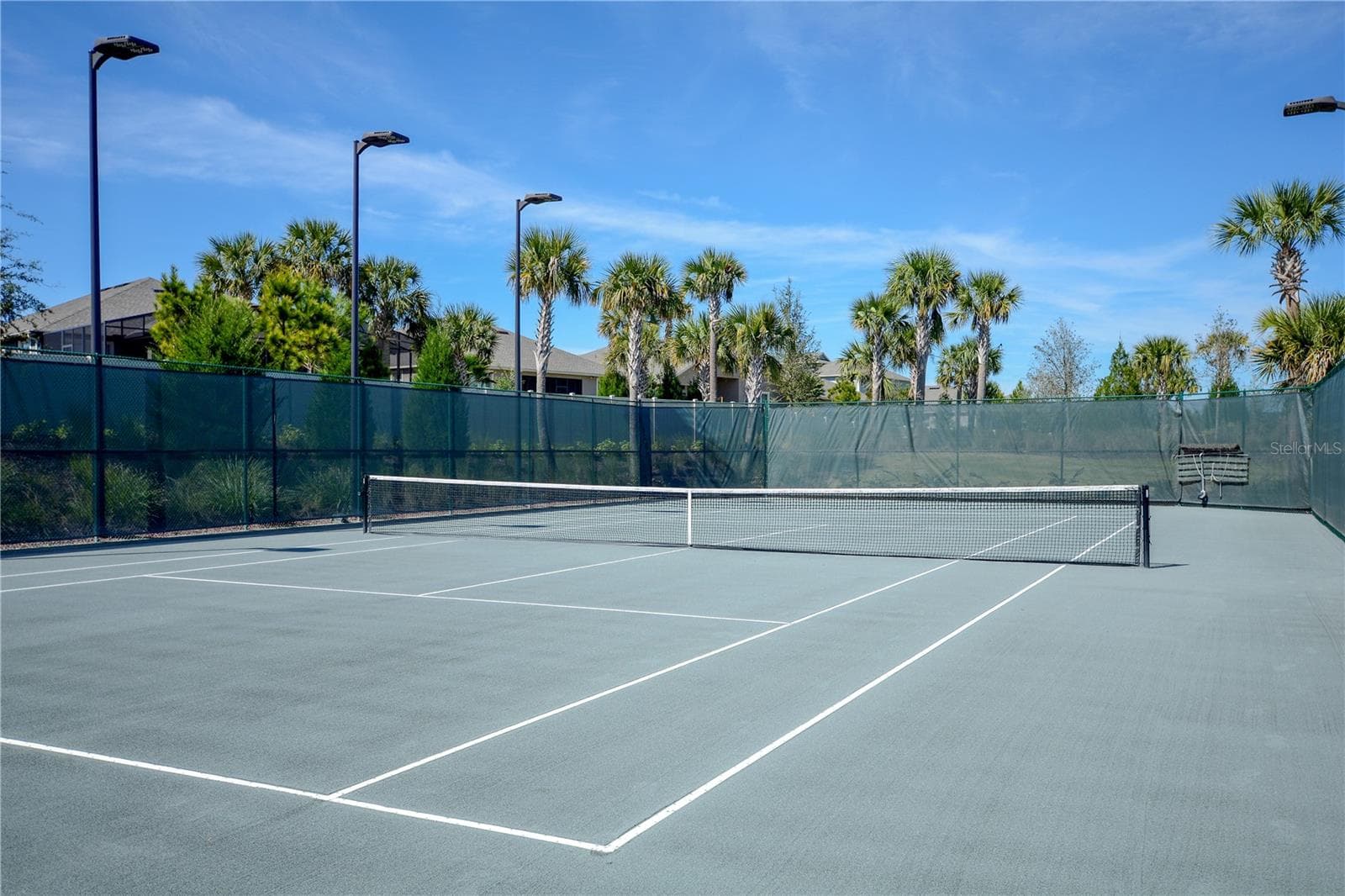 Clay Tennis Court. The Court is lighted for nighttime play. - 1038 TIMBERVALE TRL, CLERMONT