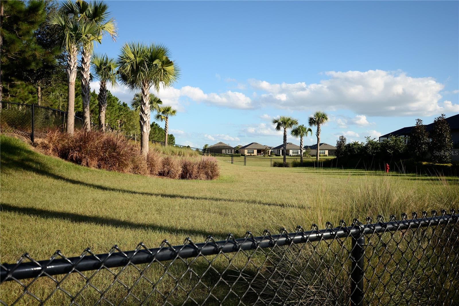 Esplanade Dog Park. We can't forget about our furry family members - 1038 TIMBERVALE TRL, CLERMONT