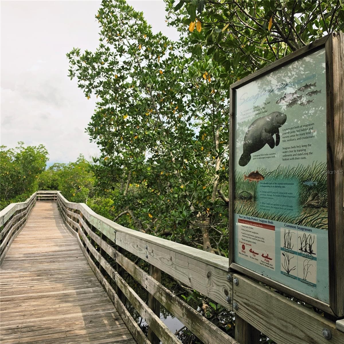 Enjoy the boardwalk to overlook the Intracoastal Waterway. - 19201 VISTA LN #D2, INDIAN SHORES