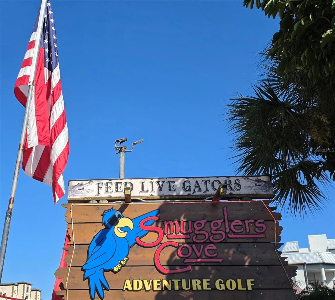 Smuggler's Cove Adventure Golf. - 19201 VISTA LN #D2, INDIAN SHORES