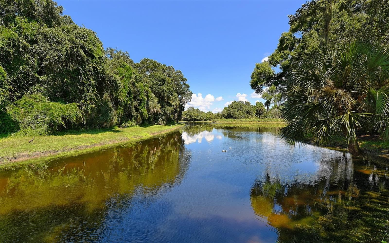 Single Family Residence at 5179 LITTLE BROOK CT, SARASOTA, photo 56 of 67