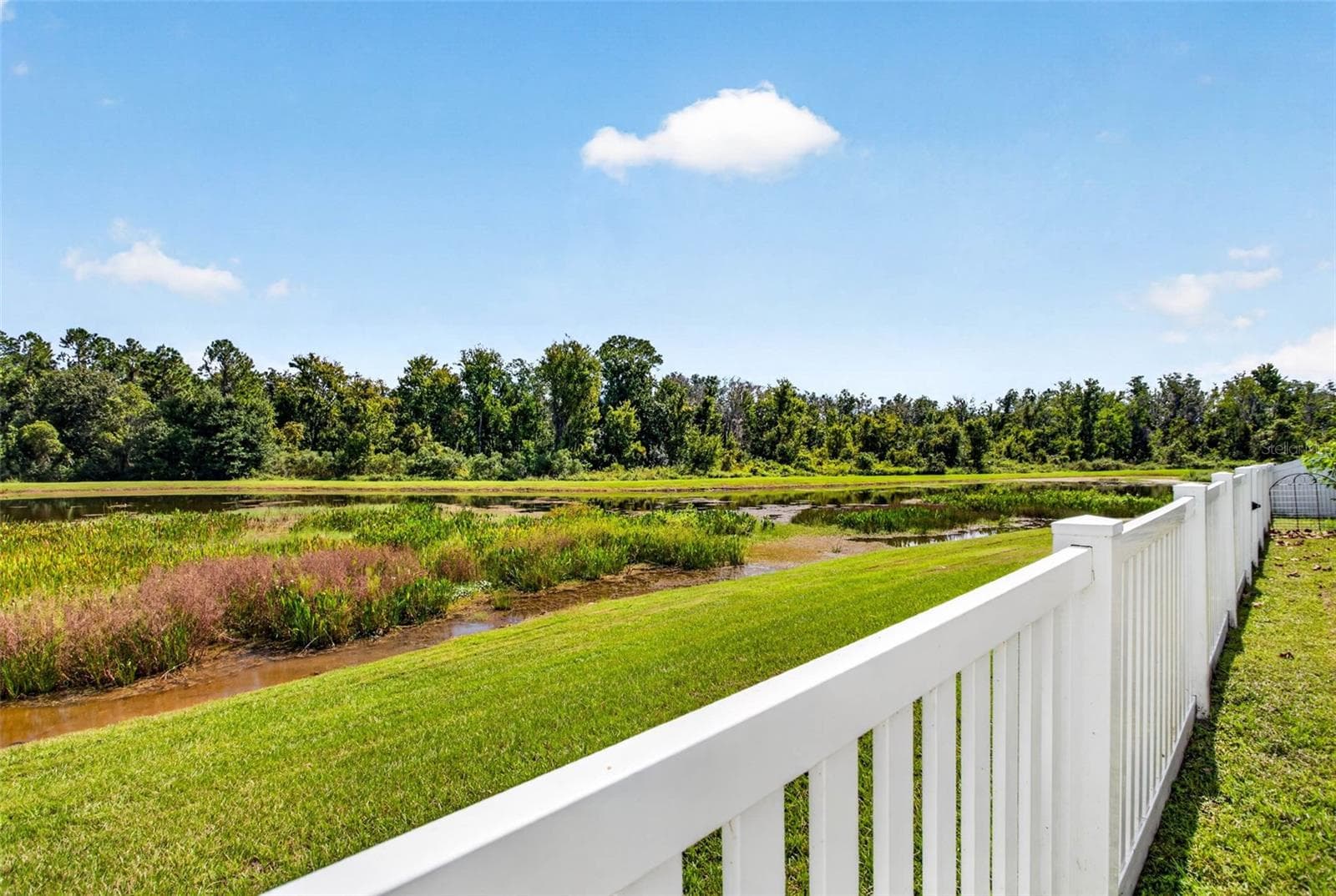 Single Family Residence at 35683 BUTTONWEED TRL, ZEPHYRHILLS, photo 44 of 69