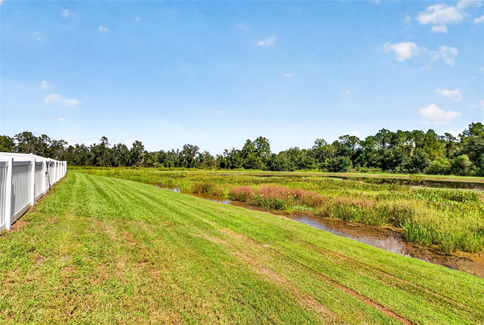 Single Family Residence at 35683 BUTTONWEED TRL, ZEPHYRHILLS, photo 47 of 69