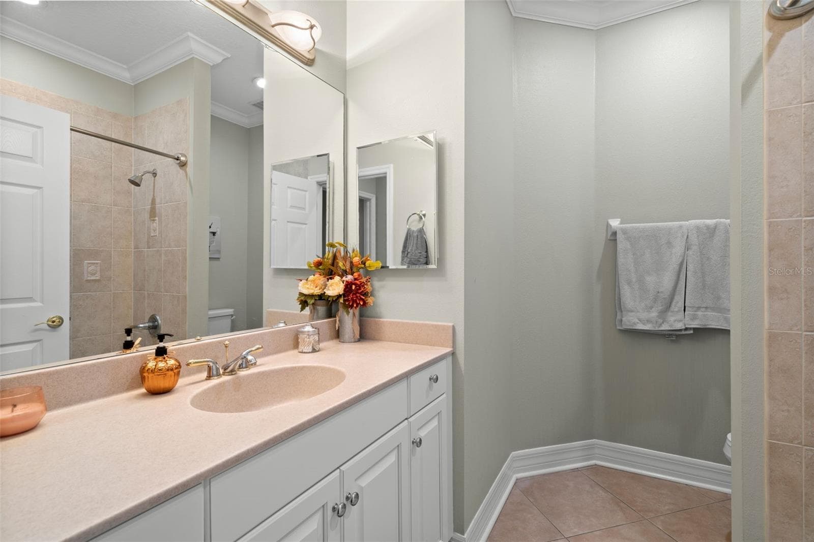 Secondary Bathroom - 9460 DISCOVERY TER #201C, BRADENTON