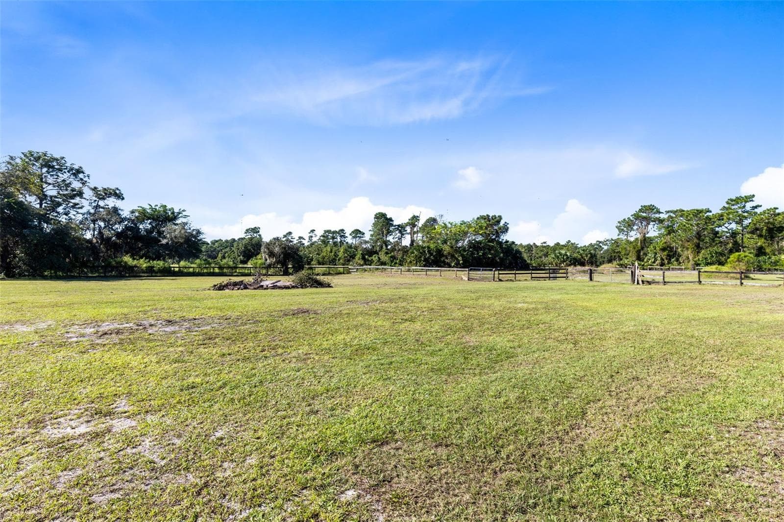 Back pasture - 2670 MILLS CREEK RD, CHULUOTA