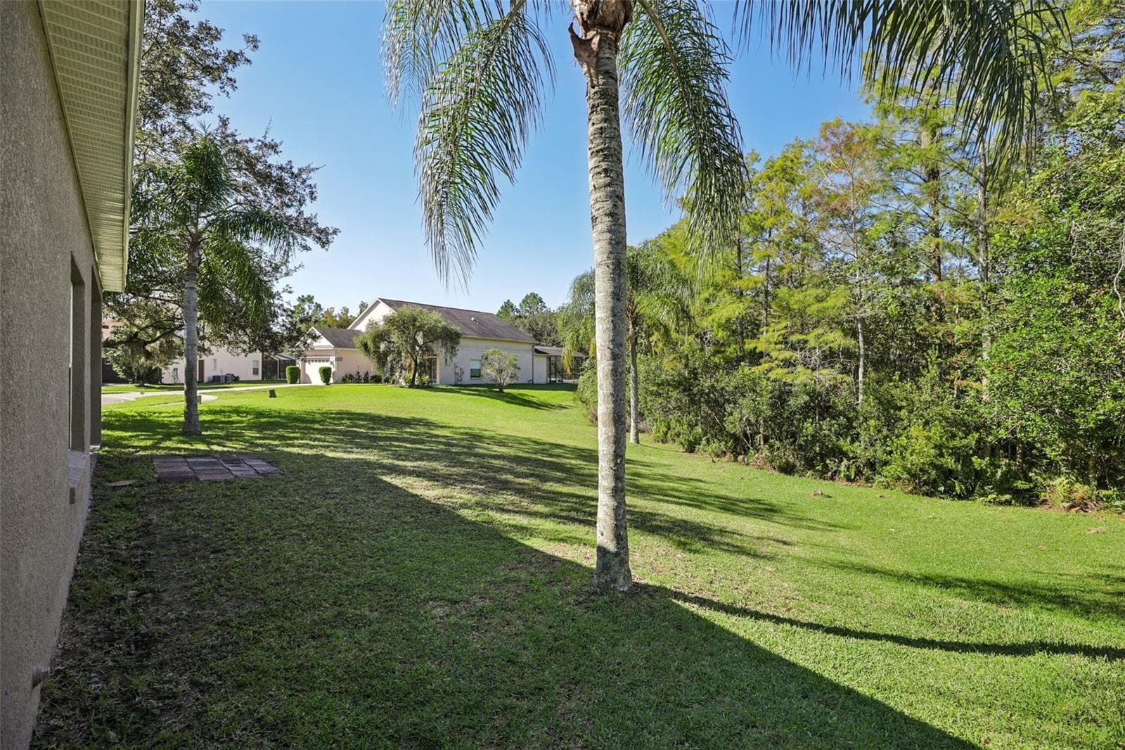 The generous backyard provides endless opportunities for entertaining and enjoying the outdoors. - 1806 ANNA CATHERINE DR, ORLANDO
