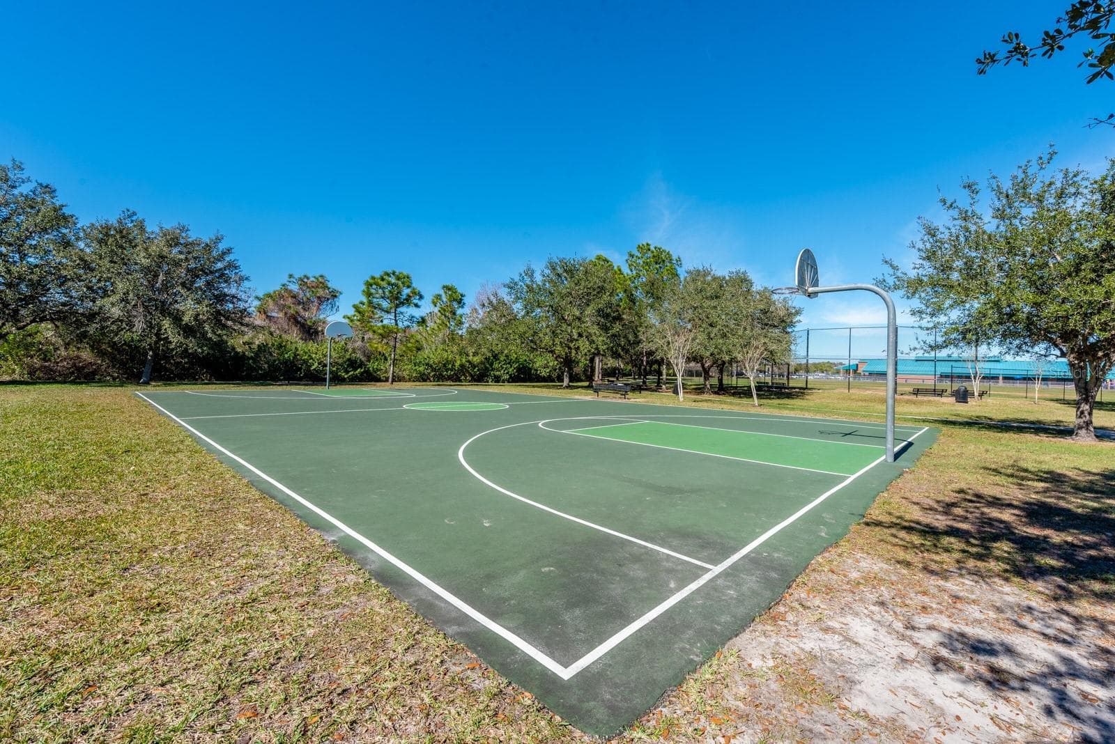 Basketball court - 1806 ANNA CATHERINE DR, ORLANDO