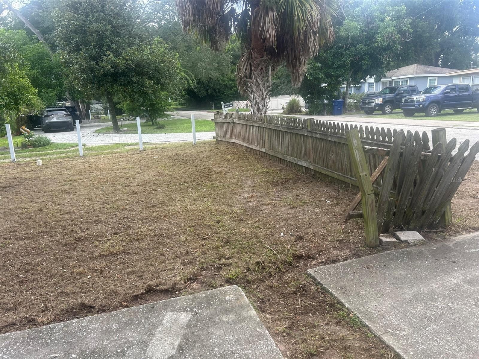 front yard - 1713 NE LAMBRIGHT ST, TAMPA
