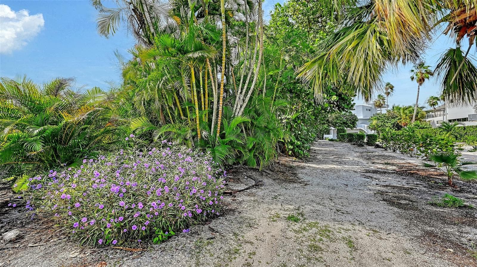 Association swimming pool behind the clubhouse. - 693 SPANISH DR N #24, LONGBOAT KEY