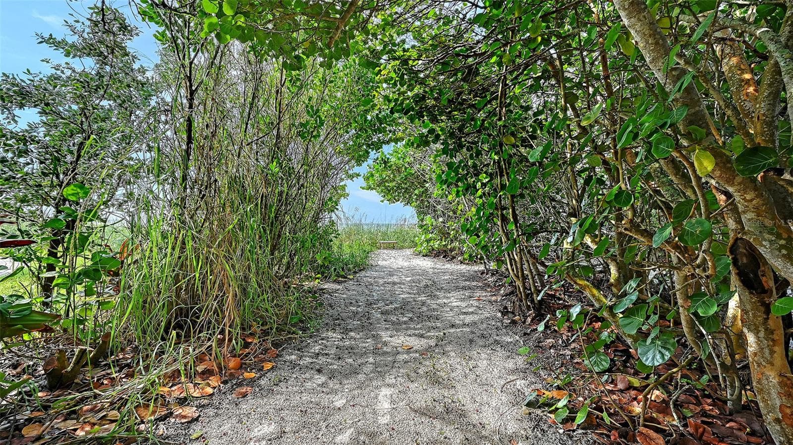 Association swimming pool behind the clubhouse. - 693 SPANISH DR N #24, LONGBOAT KEY