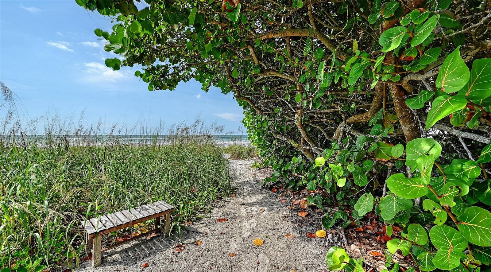 Association swimming pool behind the clubhouse. - 693 SPANISH DR N #24, LONGBOAT KEY