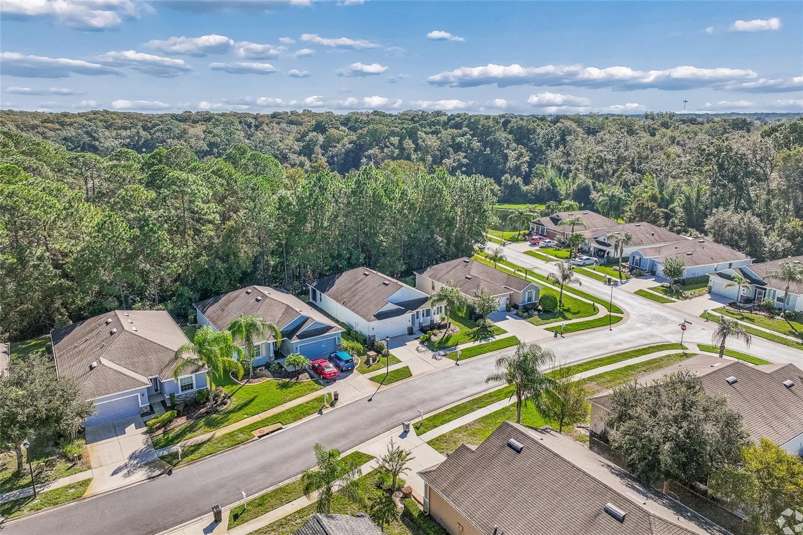 Single Family Residence at 11030 PARADISE POINT WAY, NEW PORT RICHEY, photo 38 of 55
