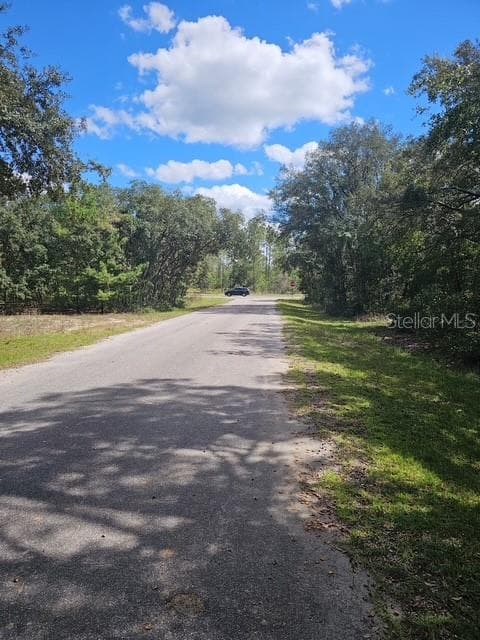 Land at Lot 4 FISHER TERRACE PL, OCKLAWAHA, photo 5 of 18