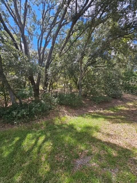 Land at Lot 4 FISHER TERRACE PL, OCKLAWAHA, photo 10 of 18